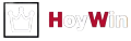 HoyWin CasinoLogoNoBG